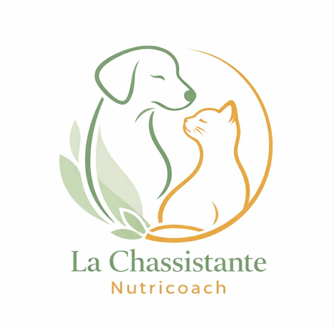 la chassistante nutricoach